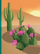 Paint by Sticker: Plants and Flowers : Create 12 Stunning Images One Sticker at a Time!