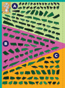 Paint by Sticker: Plants and Flowers : Create 12 Stunning Images One Sticker at a Time!