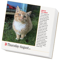 365 Cats Page-A-Day Calendar 2023
