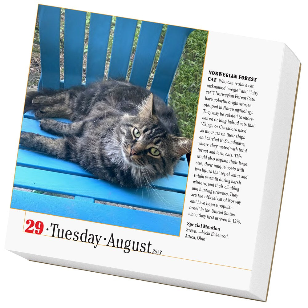 365 Cats Page-A-Day Calendar 2023