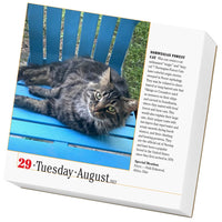 365 Cats Page-A-Day Calendar 2023