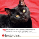 365 Cats Page-A-Day Calendar 2023