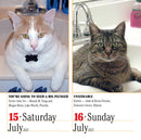 365 Cats Page-A-Day Calendar 2023
