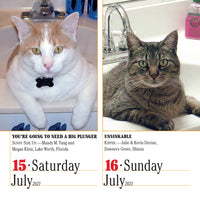 365 Cats Page-A-Day Calendar 2023