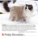 365 Cats Page-A-Day Calendar 2023