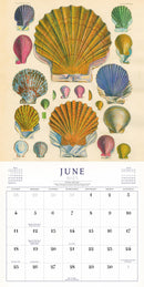The World of John Derian Wall Calendar 2023