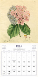 The World of John Derian Wall Calendar 2023