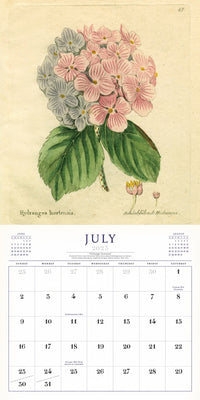 The World of John Derian Wall Calendar 2023