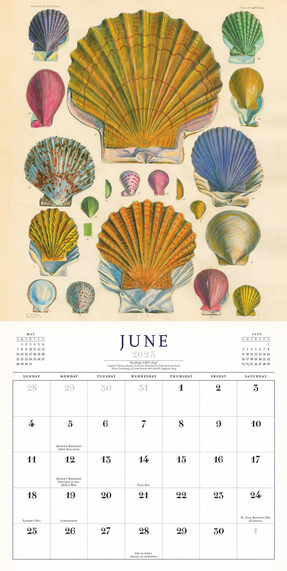 The World of John Derian Wall Calendar 2023
