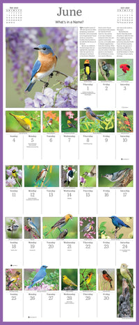 Audubon Songbirds and Other Backyard Birds Picture-A-Day Wall Calendar 2023