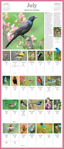 Audubon Songbirds and Other Backyard Birds Picture-A-Day Wall Calendar 2023