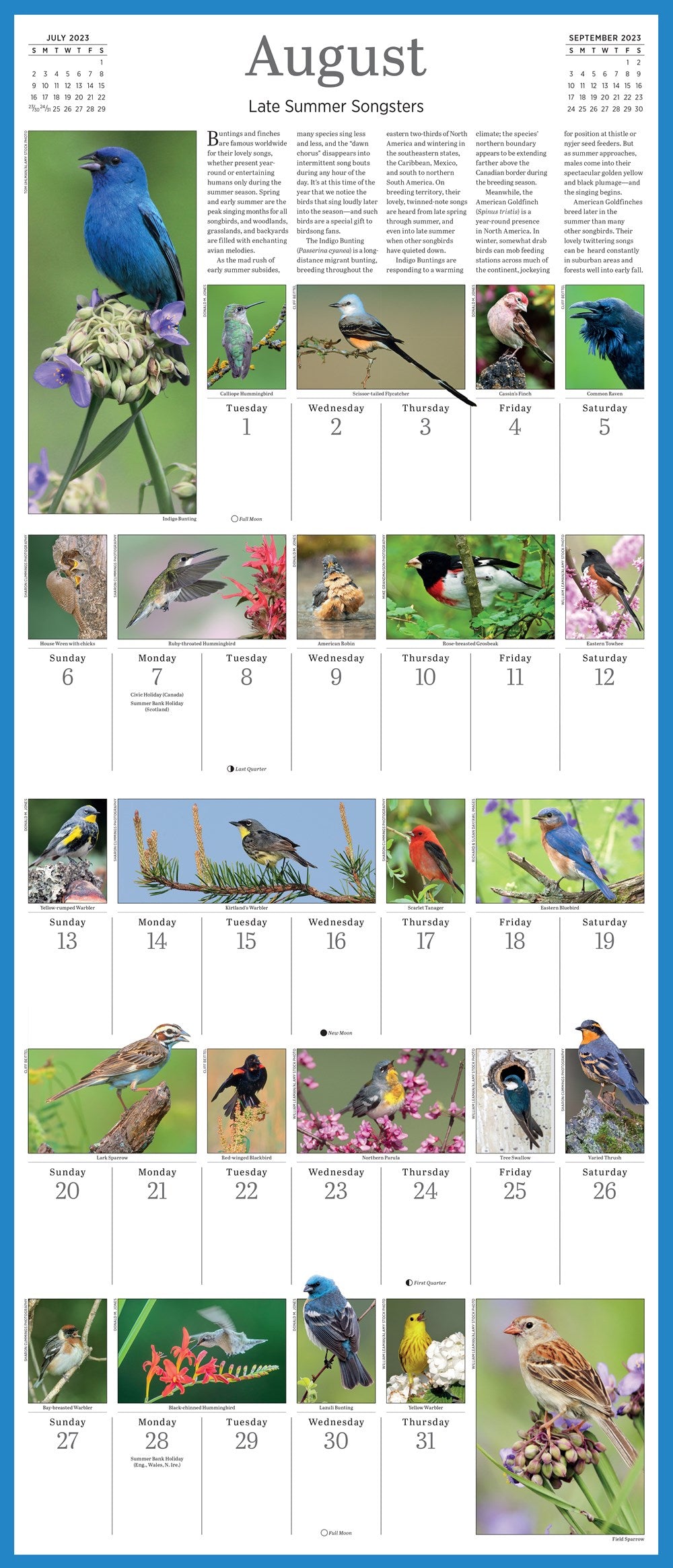 Audubon Songbirds and Other Backyard Birds Picture-A-Day Wall Calendar 2023