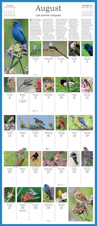 Audubon Songbirds and Other Backyard Birds Picture-A-Day Wall Calendar 2023