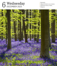 Audubon Nature Page-A-Day Gallery Calendar 2023