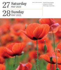 Audubon Nature Page-A-Day Gallery Calendar 2023