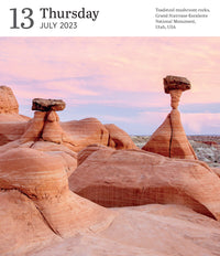 Audubon Nature Page-A-Day Gallery Calendar 2023