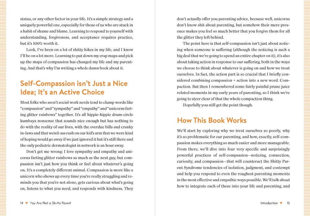 You Are Not a Sh*tty Parent