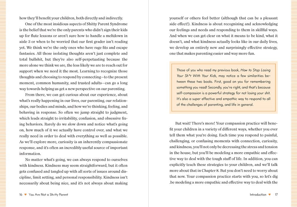 You Are Not a Sh*tty Parent