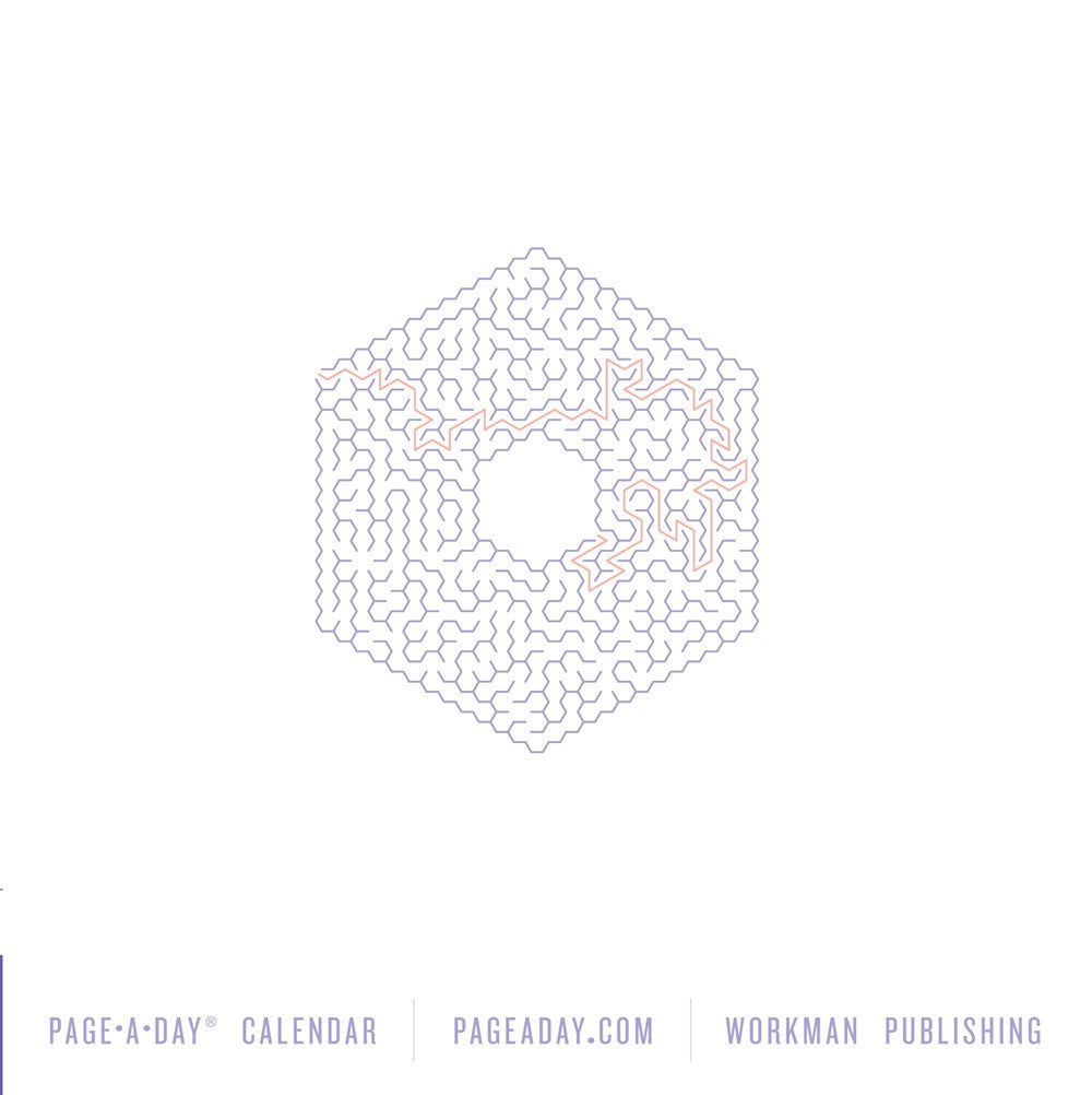Maze-A-Day Page-A-Day Calendar 2023