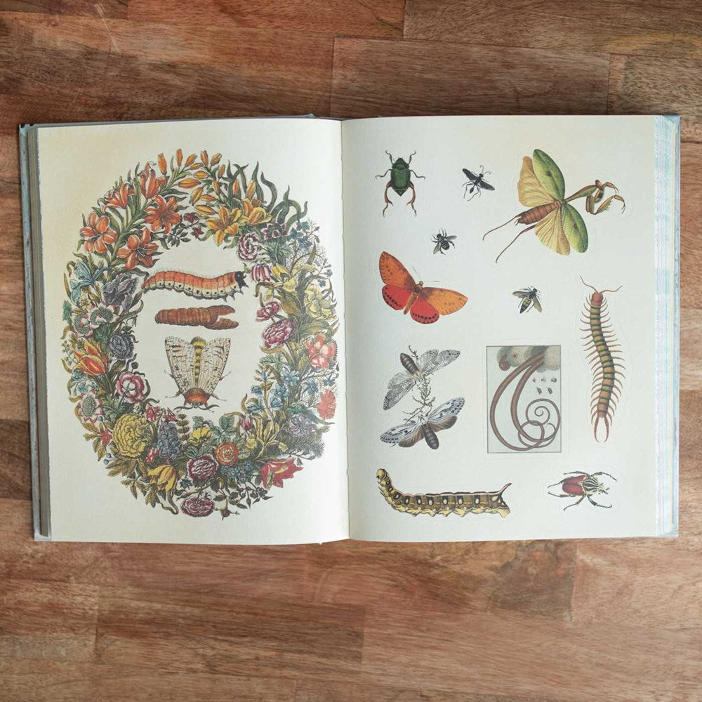 Cabinet of Curiosities: Over 1,000 Curated Stickers from the Fascinating Collections of the Smithsonian