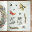 Cabinet of Curiosities: Over 1,000 Curated Stickers from the Fascinating Collections of the Smithsonian