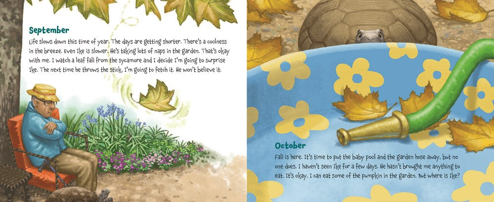 Memoirs of a Tortoise