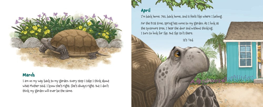 Memoirs of a Tortoise