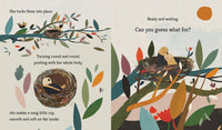 Bird Builds a Nest: A First Science Storybook : A First Science Storybook