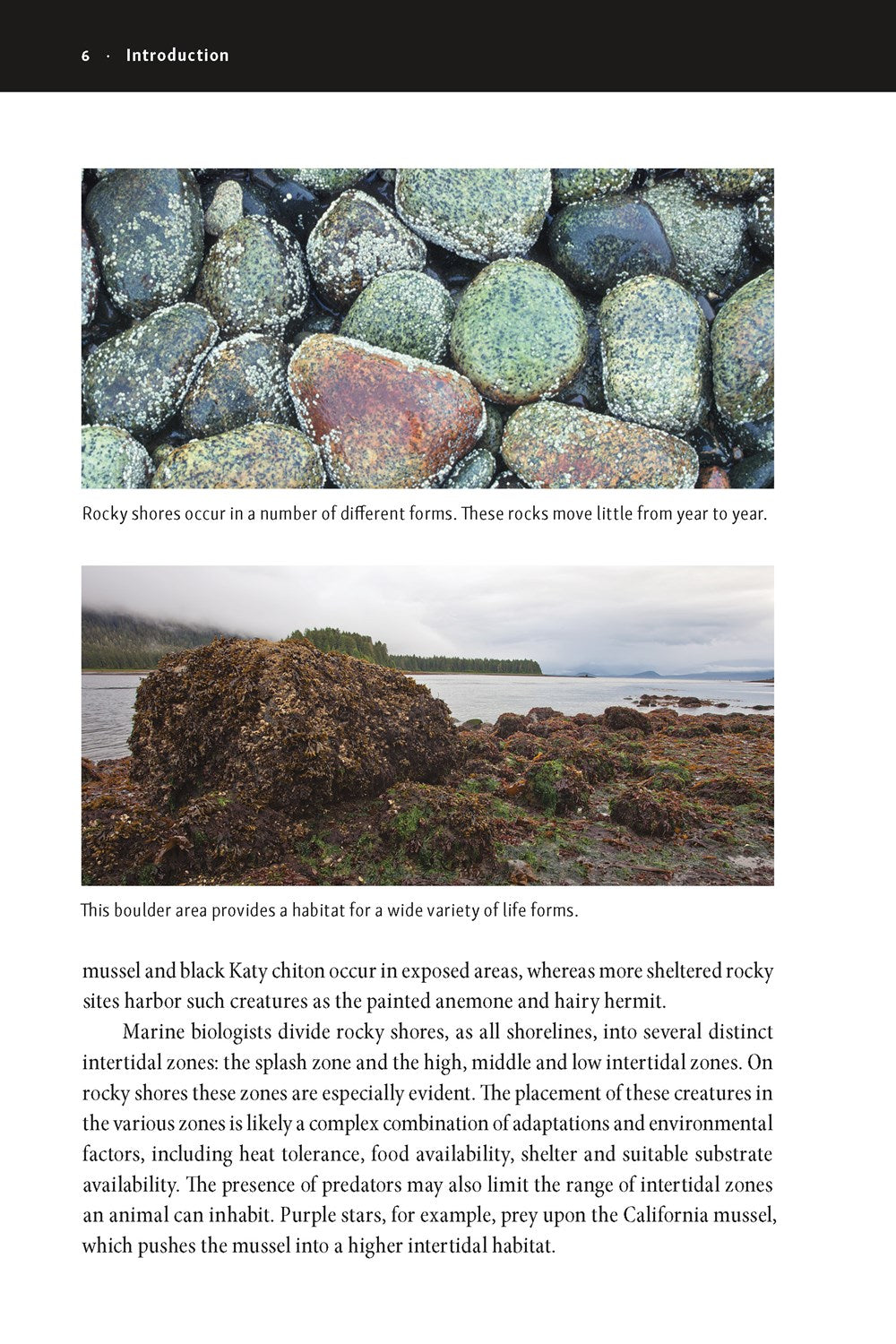 The New Beachcomber's Guide to the Pacific Northwest