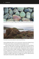 The New Beachcomber's Guide to the Pacific Northwest