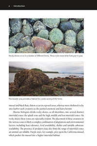 The New Beachcomber's Guide to the Pacific Northwest