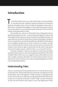 The New Beachcomber's Guide to the Pacific Northwest