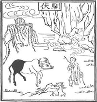 Dancing with the Dead: The Essential Red Pine Translations