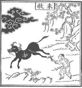 Dancing with the Dead: The Essential Red Pine Translations