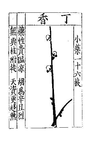 Dancing with the Dead: The Essential Red Pine Translations