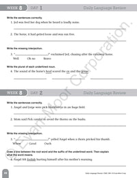 Daily Language Review, Grade 5 Teacher Edition