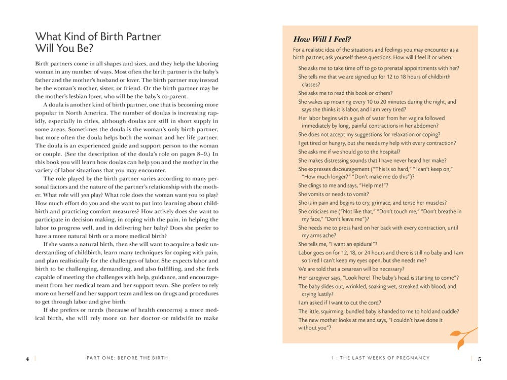 The Birth Partner 5th Edition: A Complete Guide to Childbirth for Dads, Partners, Doulas, and Other Labor Companions (New edition)