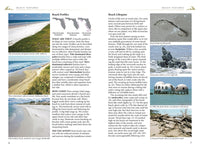 Florida's Living Beaches