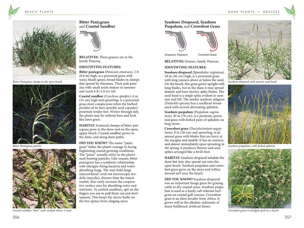 Florida's Living Beaches