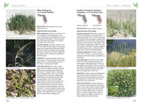 Florida's Living Beaches