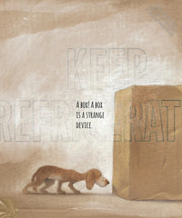 What to Do with a Box