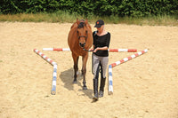 Training and Riding with Cones and Poles