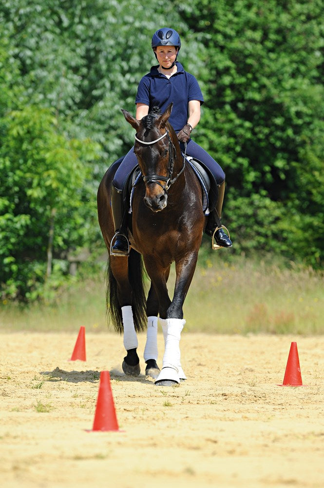 Training and Riding with Cones and Poles
