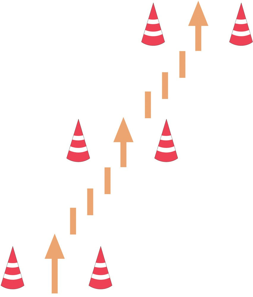 Training and Riding with Cones and Poles