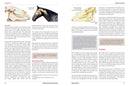 Physical Therapy for Horses: A Visual Course in Massage, Stretching, Rehabilitation, Anatomy, and Biomechanics