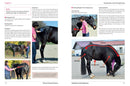 Physical Therapy for Horses: A Visual Course in Massage, Stretching, Rehabilitation, Anatomy, and Biomechanics