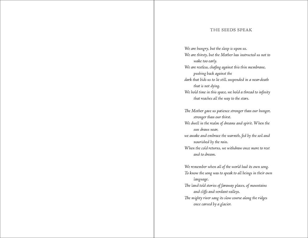 The Seed Keeper: A Novel