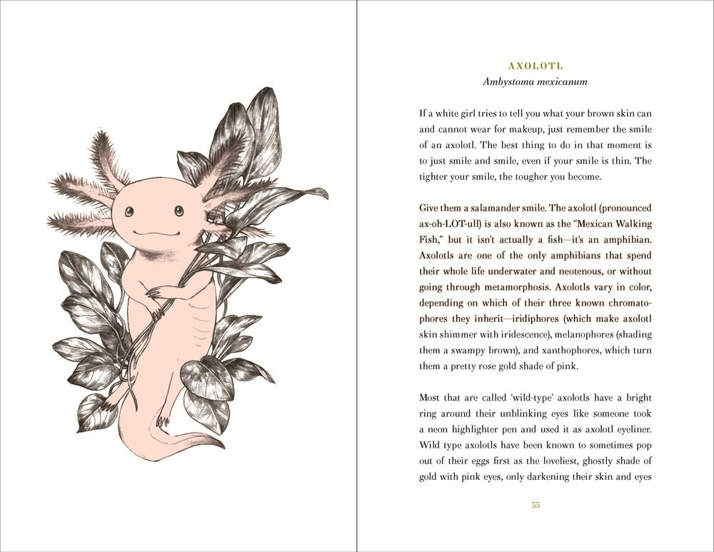 World of Wonders: In Praise of Fireflies, Whale Sharks, and Other Astonishments