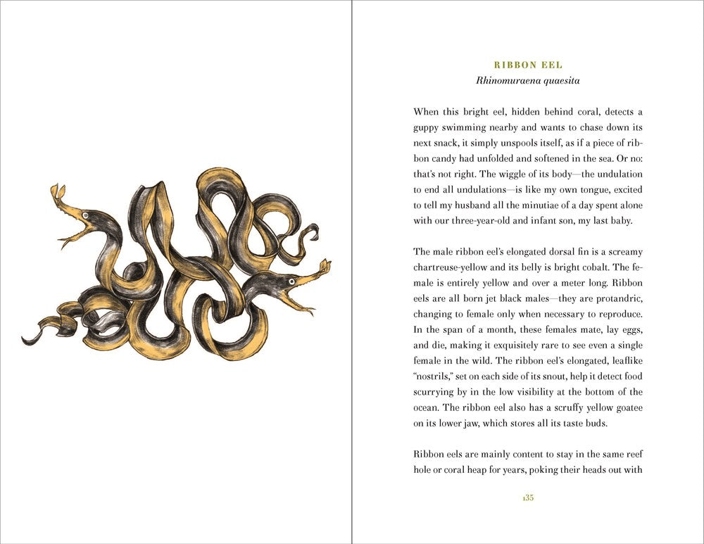 World of Wonders: In Praise of Fireflies, Whale Sharks, and Other Astonishments