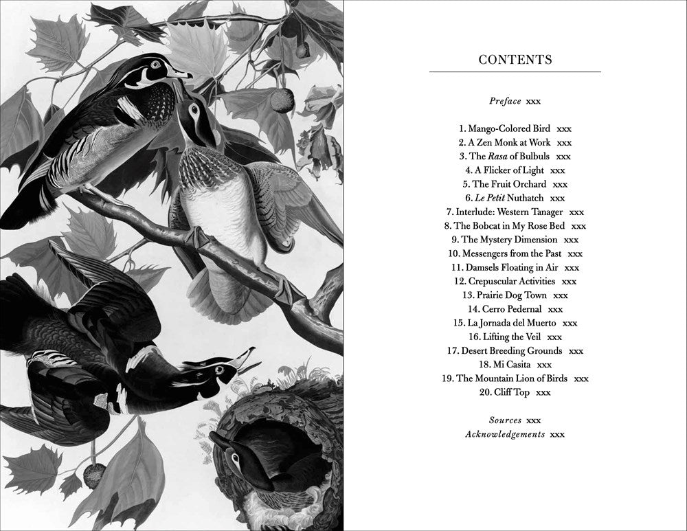 Conversations with Birds